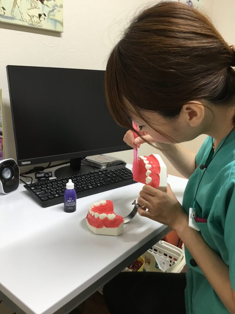 第171回歯っぴーサロン
